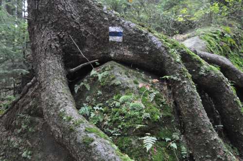 Wandergebiet Kirnitzschtal