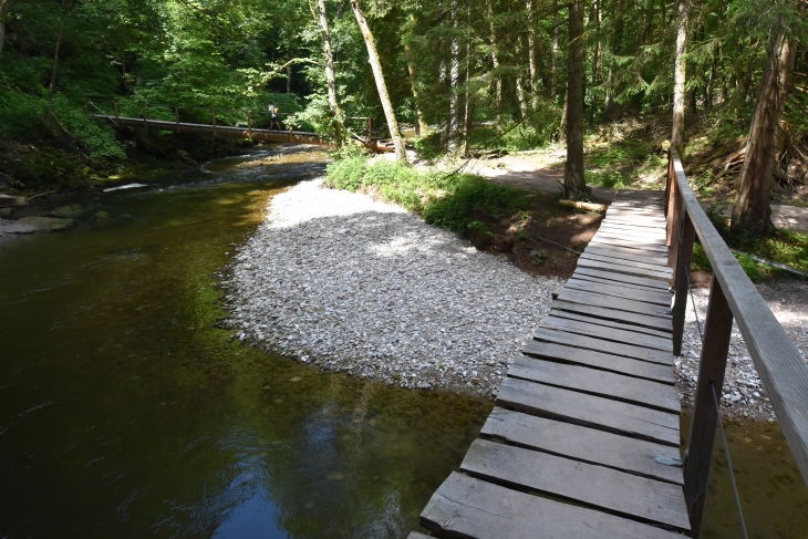 Holzstege