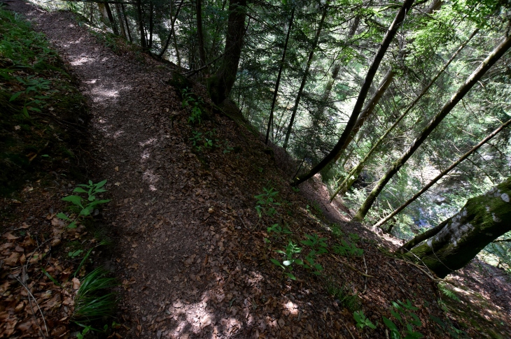 Hangweg