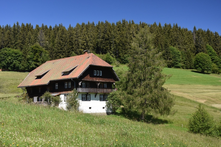 Schwarzwaldhof in Fischbach