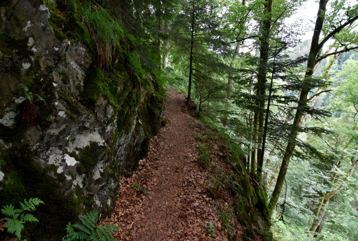 Wehraschlucht