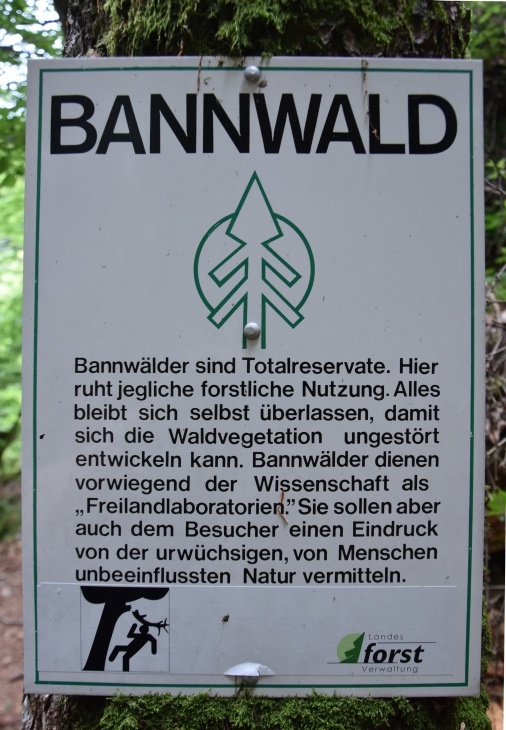 Bannwald