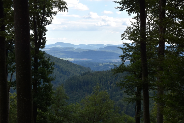 Schweiz in Sichtweite