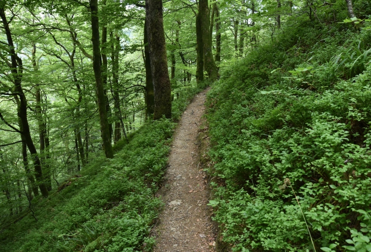 Wehraschlucht