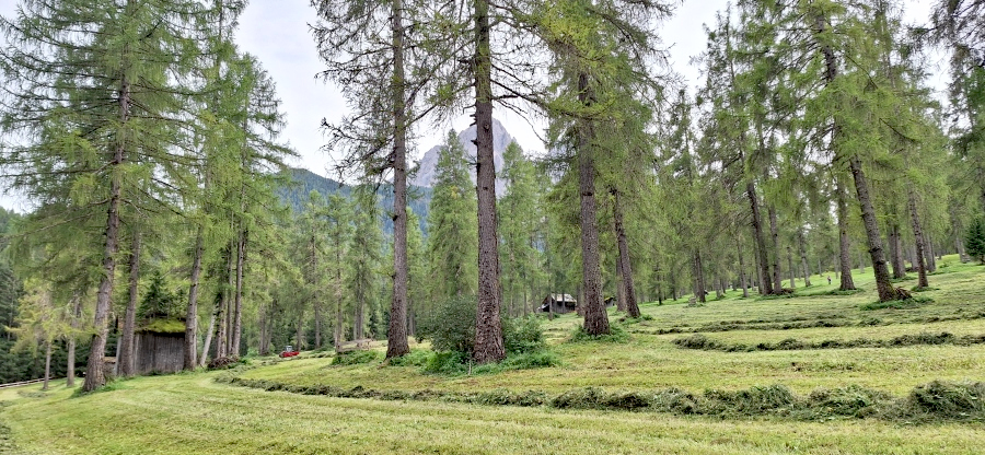 Innerfeldtal