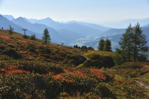 Bergheiden